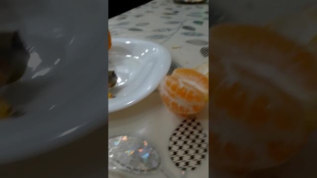 самая маленькая долька мандарина смотреть онлайн