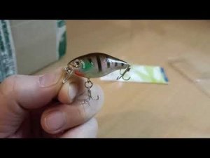 Распаковка посылки с воблером Balzer Shirasu Colonel Crank FL