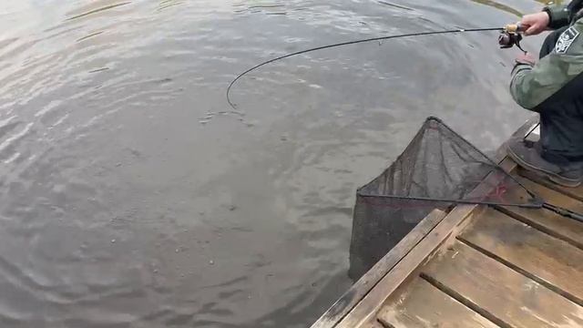 Поимка на резину смотреть онлайн