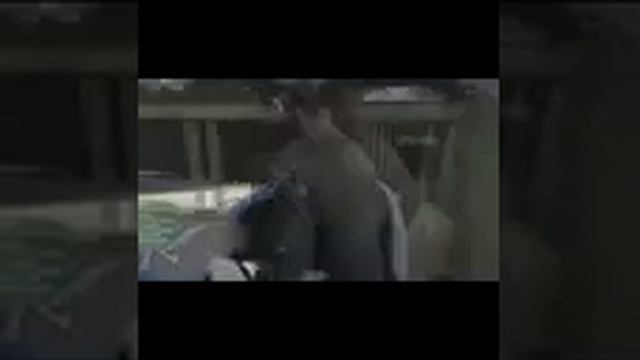 Epic GTA 5 Sunrise Glitch смотреть онлайн