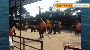 NATURAL PARK RESORT 3* Таиланд Паттайя отзывы – отель НАТУРАЛ ПАРК РЕЗОРТ 3* Паттайя отзывы видео