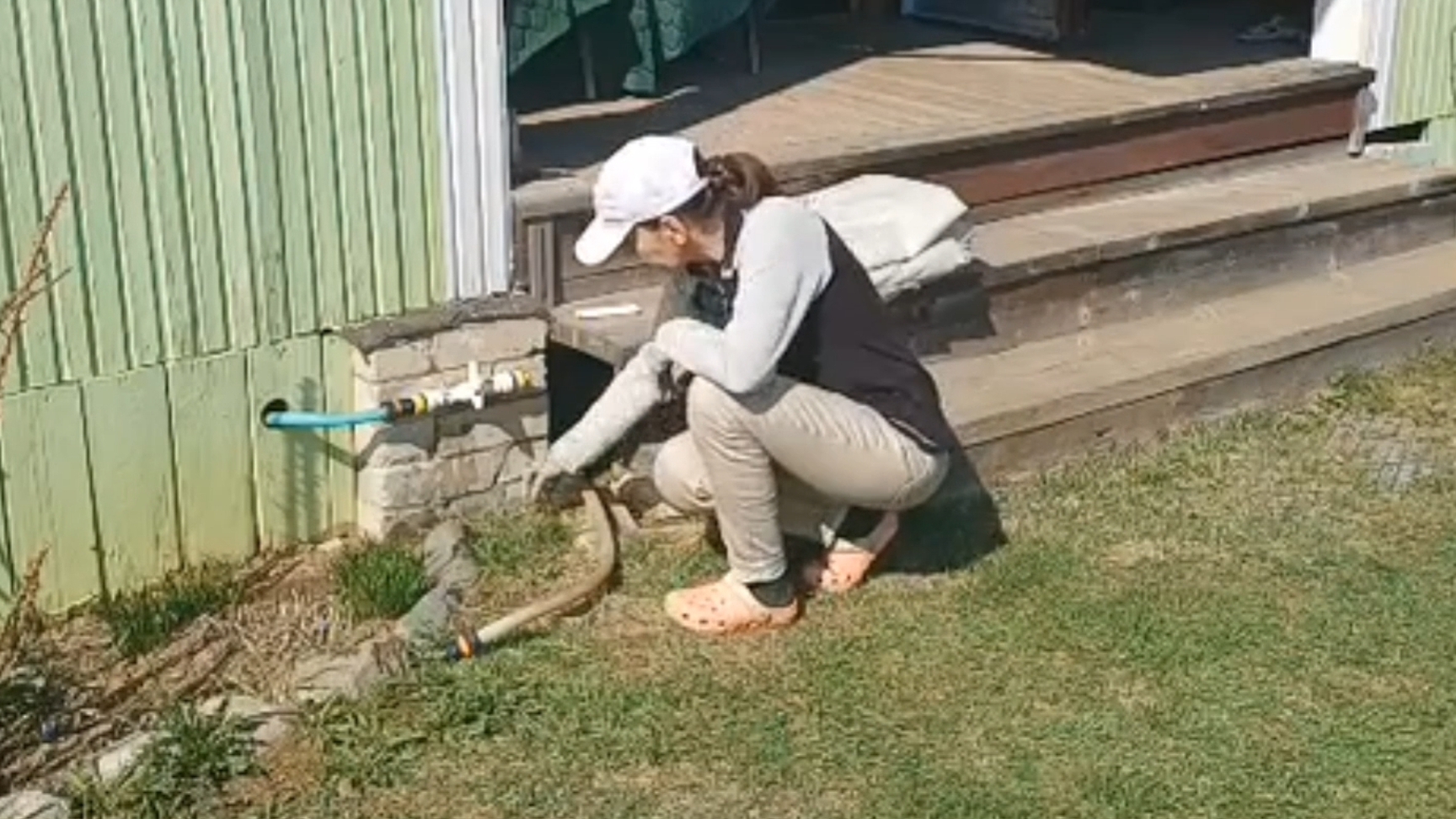 Подключаем гребёнку для раздачи воды, меняем лопнувший шланг, подвязываем розу. смотреть онлайн