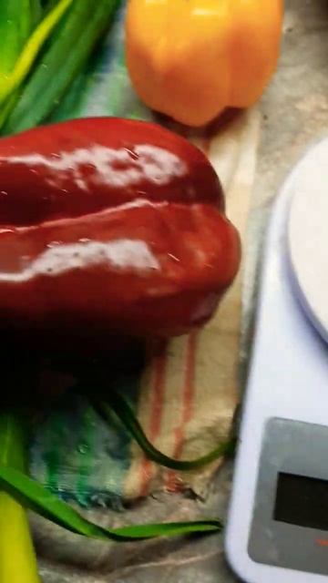 Заготовка на Зиму👌Сушим Овощи🥦🧅🫑🌱#овощи #сушимовощи  #заготовкиназиму #мотивация #оттатьяныслюбовью