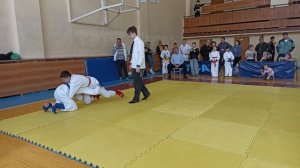 Джиу-джитсу, раздел файтинг