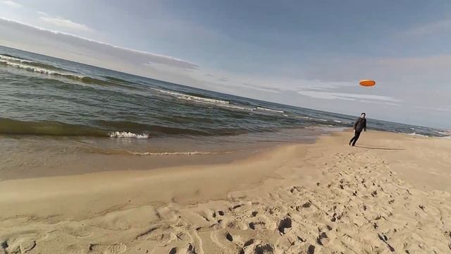 Олень в Польше смотреть онлайн