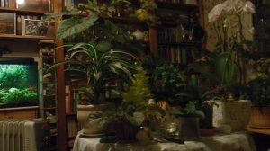 Неожиданный_Стресс__Как_Реагировать ? Рената Смирнова. 2025