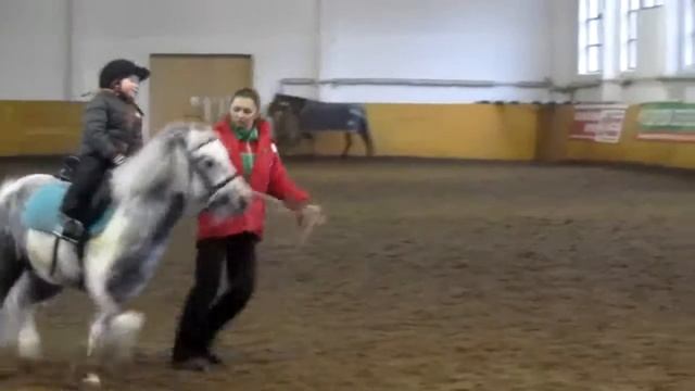 Галоп смотреть онлайн