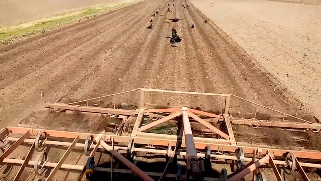 YTO X804 i IMT Spremač 4,2 m смотреть онлайн