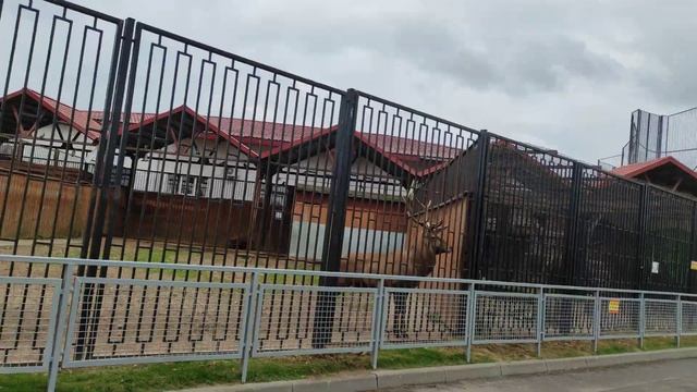 Обзор зоопарка. ч 2 смотреть онлайн