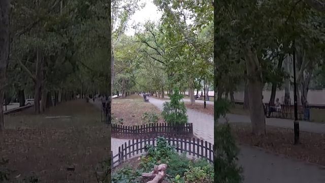 16 августа 2021 г. смотреть онлайн