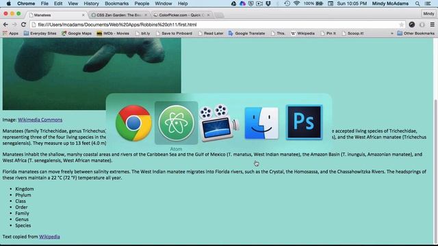 Intro to Web Apps Robbins Chapter 11