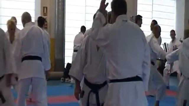 5 Мигель Гомес Накарино (каратэ). Бункай, кумитэ и ката ''Унсу'' (ч 2)