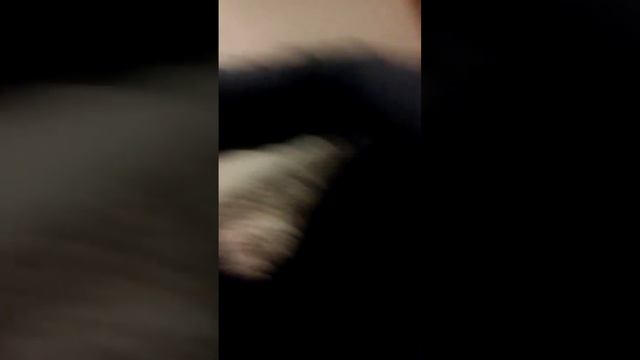 Гомофобия в печеньях или тест печенья 