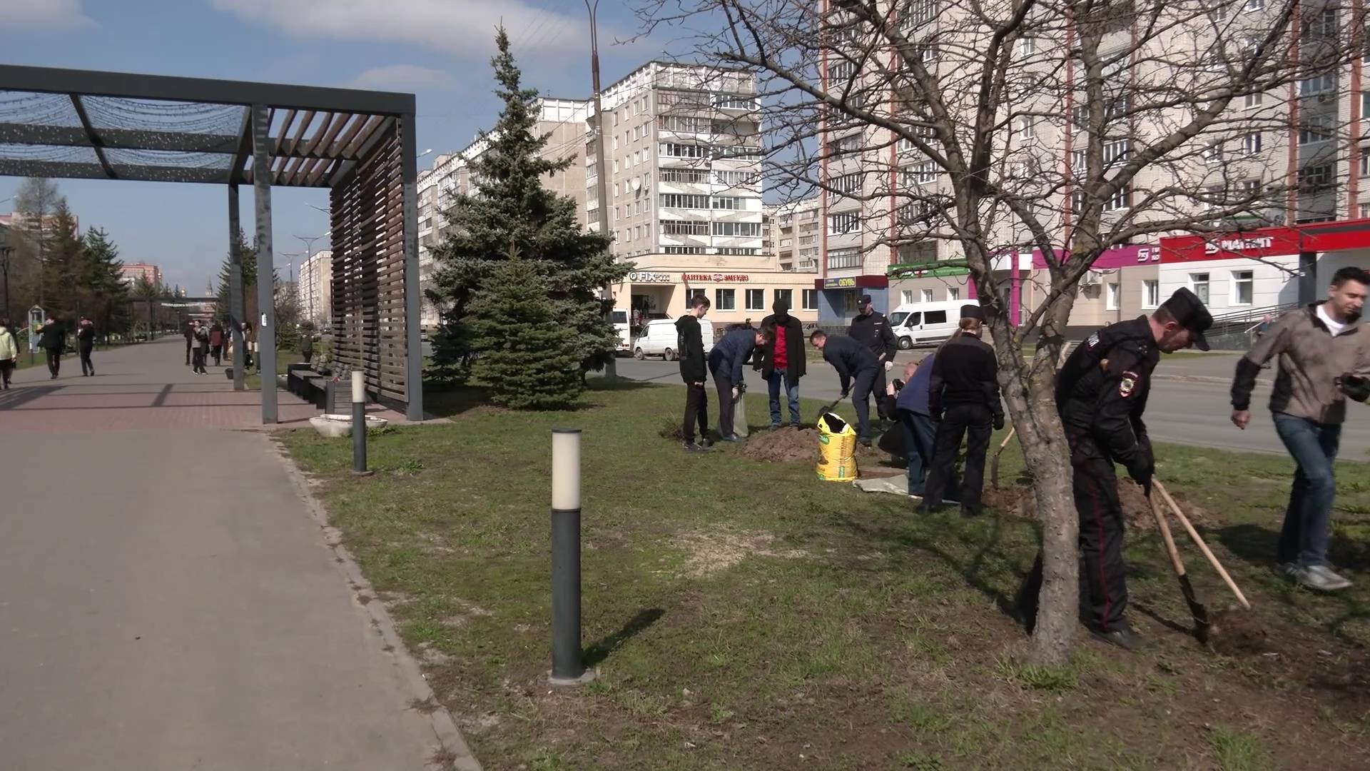 На бульваре Чавайна в Йошкар-Оле высадили молодые ели смотреть онлайн