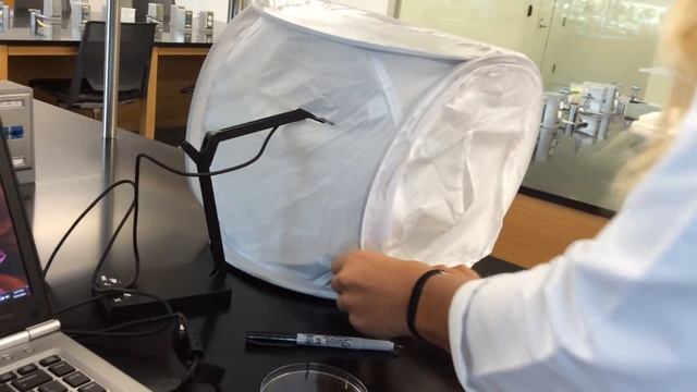 Taking pictures with document camera смотреть онлайн