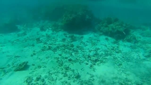 Egypt 2016 смотреть онлайн