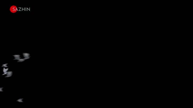 Стая белых голубей видео без фона с альфа каналом летящие птицы 7 вариантов