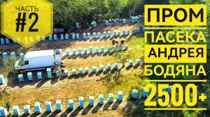 Промышленная #пасека Андрея Бодяна 2500+ пчелосемей (часть 2)