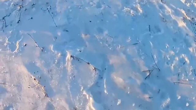 Вар'яти. смотреть онлайн