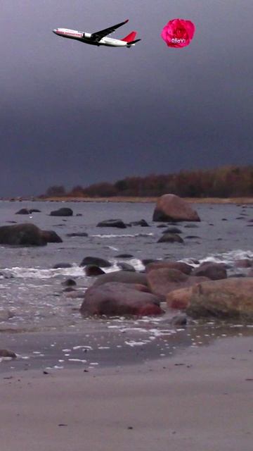 Отлив – прилив. Финский залив смотреть онлайн