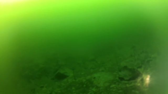 GALIOTIS DIVE смотреть онлайн