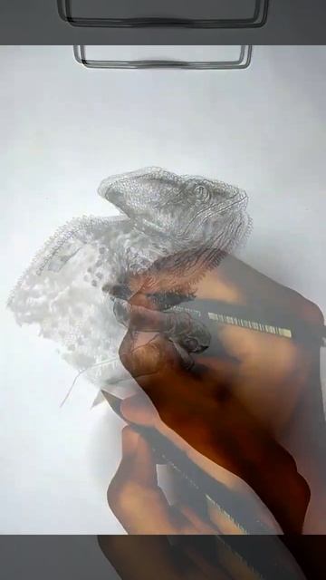 Drawing An Animal : Chameleon | Camouflage Reptile