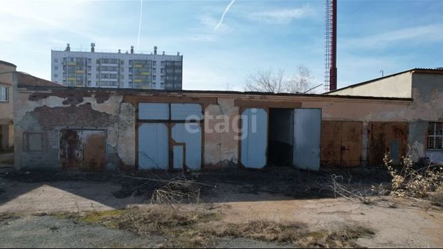 10244491 смотреть онлайн