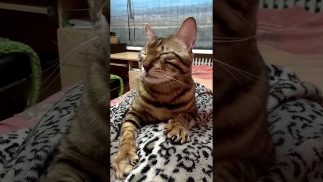 Массажист халтурит, думаю, не стоит ему платить! смотреть онлайн