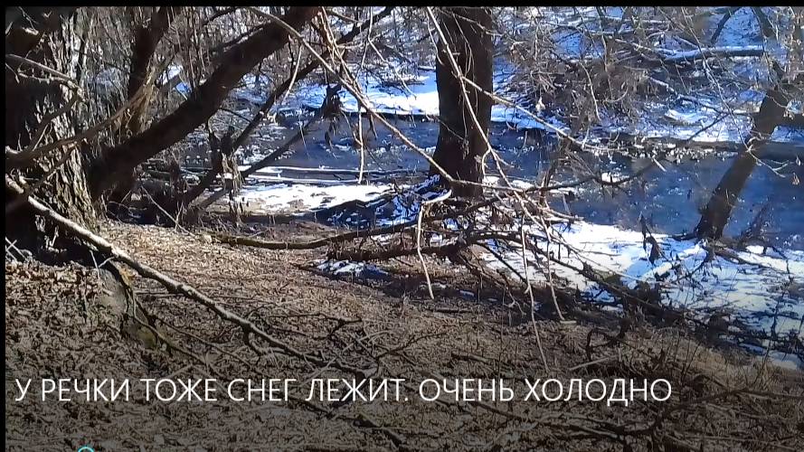 У РЕЧКИ ТОЖЕ СНЕГ ЛЕЖИТ. ОЧЕНЬ ХОЛОДНО. смотреть онлайн