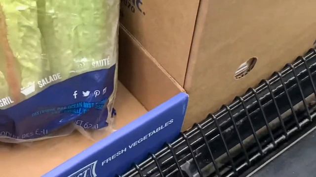 It’s Aldi Day Again!!! Shop With Me!