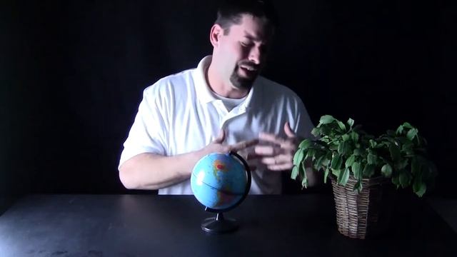 Energy: From the Sun to Plants to You! смотреть онлайн