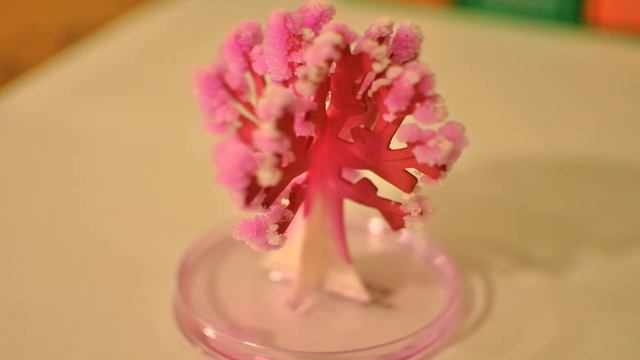 Magic Growing Tree смотреть онлайн