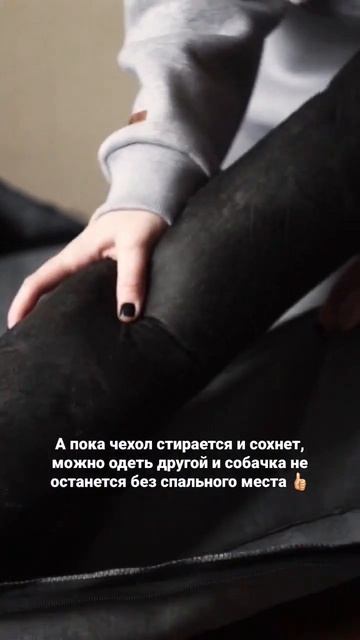 Легендарная лежанка PET BED 😍 Съёмный чехол можно постирать 👍🏻 Купить - PET-BED.RU смотреть онлайн