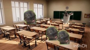 пов: УЗИ сердца / мемные коты| милые котята