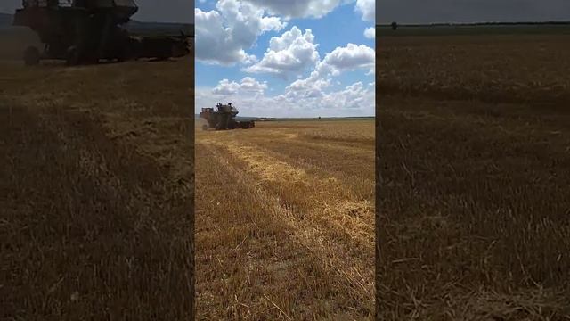 Нива ск5м уборка 2020 смотреть онлайн