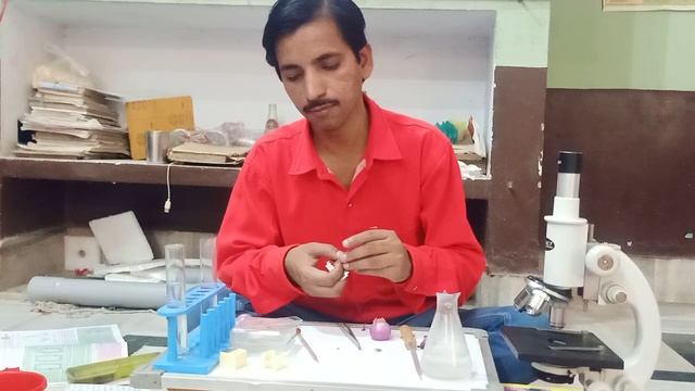 Plasmolysis of onion cells(Abhyas Academy) смотреть онлайн