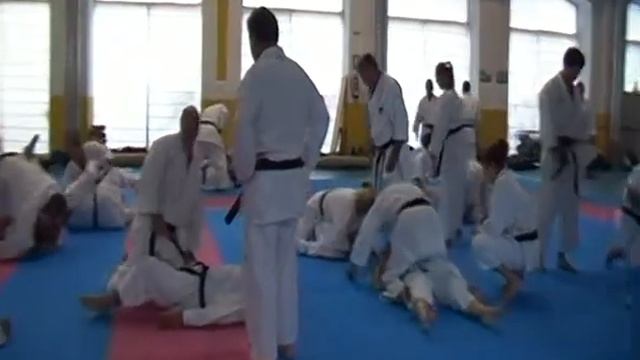 4 Мигель Гомес Накарино (каратэ). Бункай, кумитэ и ката ''Унсу'' (ч 1)