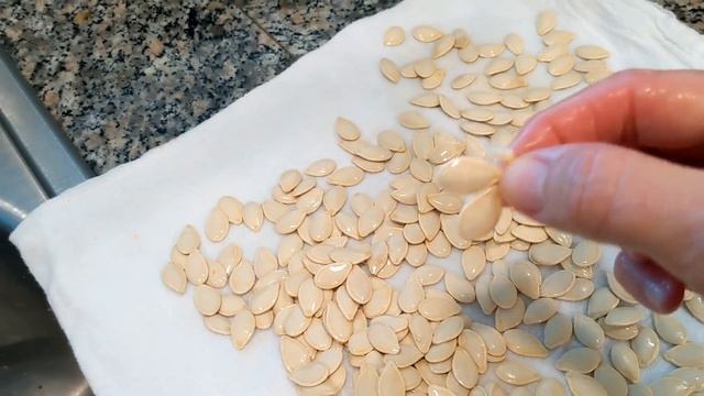 How to Prepare Pumpkin Seeds for Planting — once you've scooped them out of a pumpkin you're cookin смотреть онлайн