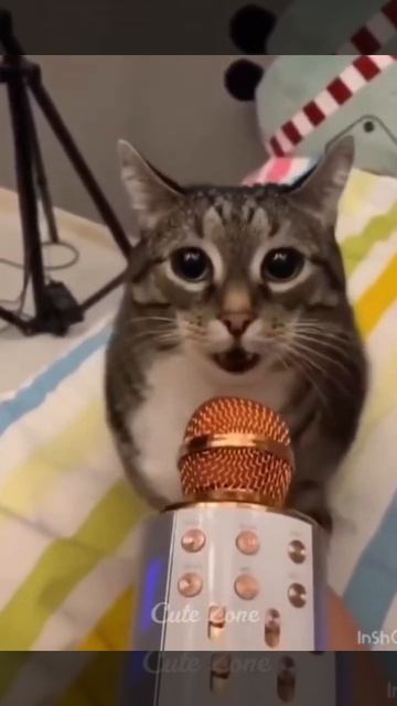 я ржал до слез|Русские Приколи|Смех до слез| 2022 смотреть онлайн