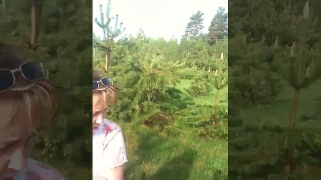 Выдропужск смотреть онлайн