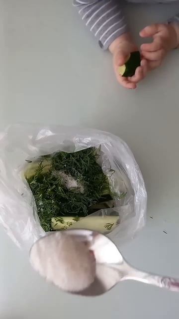 Быстрые малосольные огурцы в пакете #быстро #просто #огурцы #малосольныеогурцы #малосольные смотреть онлайн