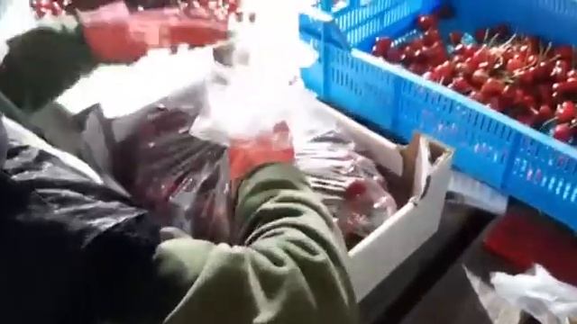 САМАЯ ПОЗДНЯЯ ЧЕРЕШНЯ смотреть онлайн