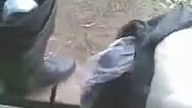 My Edited Video sluch my waders & pour out the water. смотреть онлайн