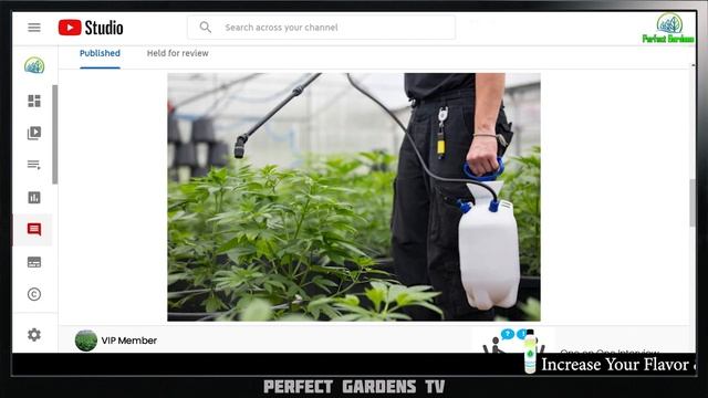 Using Liquid Nutrients in Living Soil? смотреть онлайн