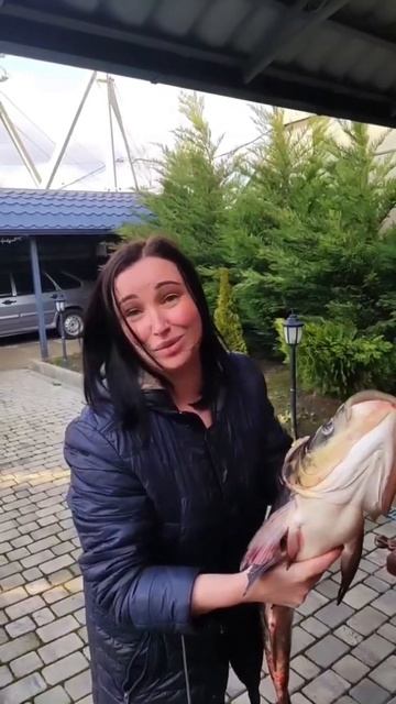 Рецепт маринованной рыбы в ленте❤️