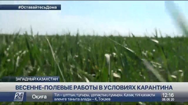 Аграрии ЗКО планируют засеять 515 тысяч гектаров смотреть онлайн