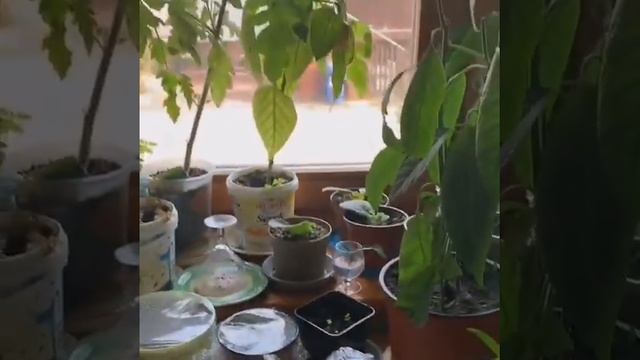 Любителям вкусняшек!