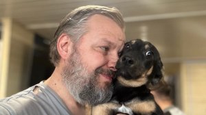 Собака которая выбрала нас