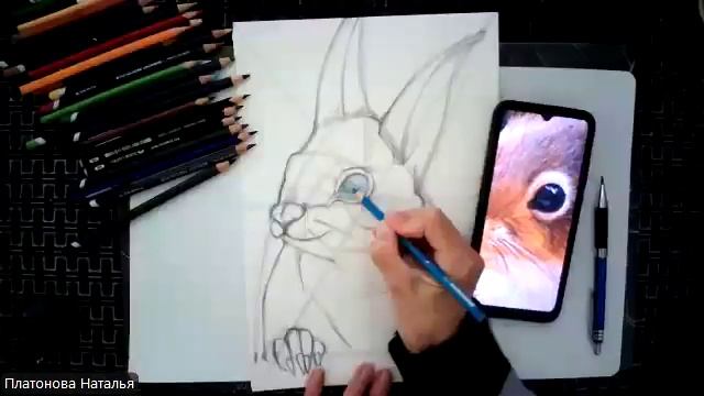 Белочка-умелочка (цветные карандаши) смотреть онлайн