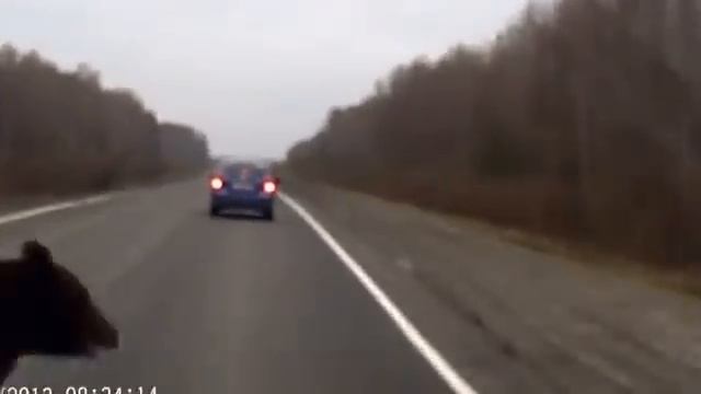 Сбитый Мишка смотреть онлайн